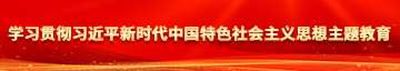 鸡巴干逼操烂学习贯彻习近平新时代中国特色社会主义思想主题教育